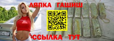 мяу мяу мука Нарткала