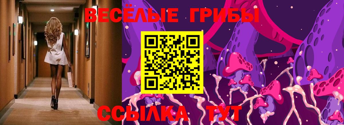 Химки  Галлюциногенные грибы ЛСД  Псилоцибиновые грибы мицелий  Вход с VPN 